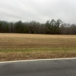 Photo #6 of 474 Indian Camp, Smithfield, NC 3.1 acres