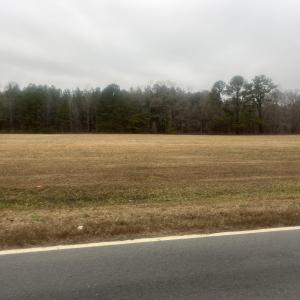 Photo #5 of 474 Indian Camp, Smithfield, NC 3.1 acres