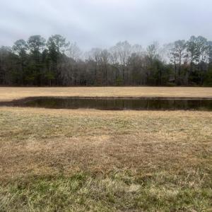 Photo #7 of 474 Indian Camp, Smithfield, NC 3.1 acres