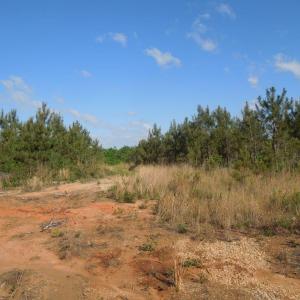 DSCN0539