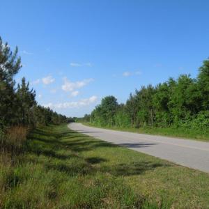 DSCN0541