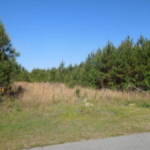 DSCN0577