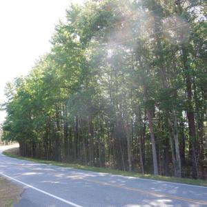 DSCN0589