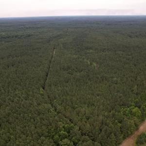 DJI_0980