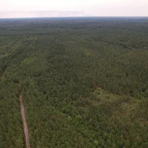 DJI_0981