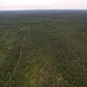DJI_0982
