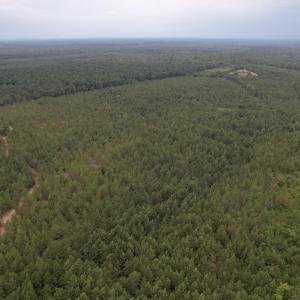 DJI_0984