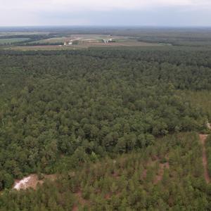 DJI_0985
