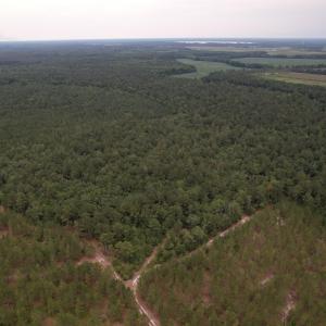 DJI_0986