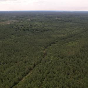 DJI_0989