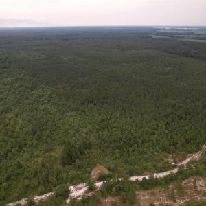 DJI_0991