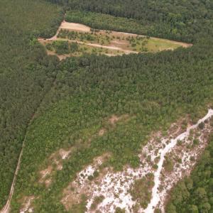 DJI_0995