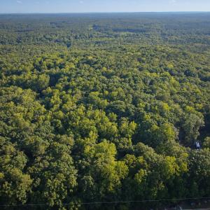 DJI_20260803180856_0011_D