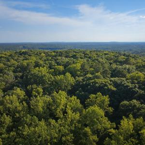 DJI_20260803181115_0026_D