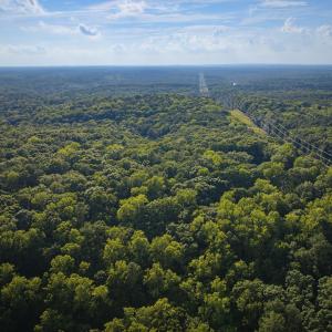 DJI_20260803181250_0043_D