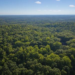 DJI_20260803181303_0046_D