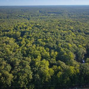 Photo #6 of 100 Sloping Pond, Pittsboro, NC 10.0 acres