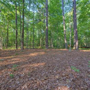 Photo #19 of 100 Sloping Pond, Pittsboro, NC 10.0 acres