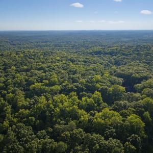 Photo #8 of 100 Sloping Pond, Pittsboro, NC 10.0 acres