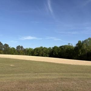 SideField