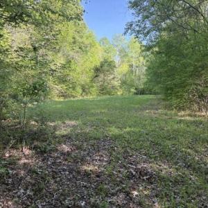 HiddenField
