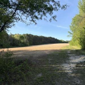 LowerField