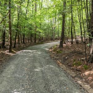 Sirius (9)