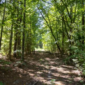 Photo #3 of 3132 Walters, Creedmoor, NC 11.4 acres
