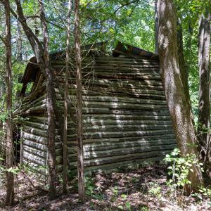 Photo #8 of 3132 Walters, Creedmoor, NC 11.4 acres