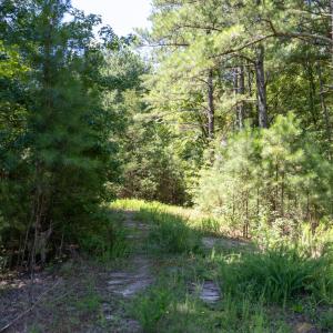 Photo #2 of 3132 Walters, Creedmoor, NC 11.4 acres