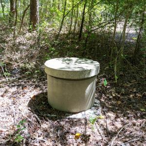 Photo #7 of 3132 Walters, Creedmoor, NC 11.4 acres