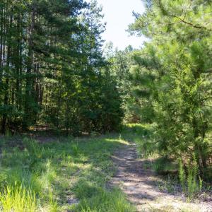 Photo #1 of 3132 Walters, Creedmoor, NC 11.4 acres