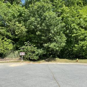 Photo #13 of 39 Thompson, Graham, NC 14.9 acres