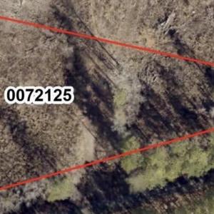 Photo #2 of Tbd Alston Horton Service, Pittsboro, NC 5.8 acres