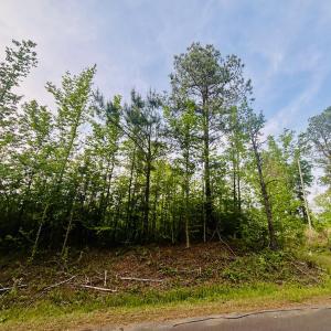 Photo #4 of Tbd Alston Horton Service, Pittsboro, NC 5.8 acres