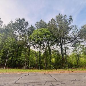 Photo #5 of Tbd Alston Horton Service, Pittsboro, NC 5.8 acres