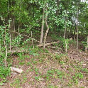 Photo #17 of Highway 49, Mebane, NC 8.2 acres