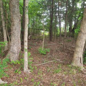 Photo #7 of Highway 49, Mebane, NC 8.2 acres