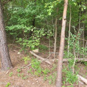 Photo #16 of Highway 49, Mebane, NC 8.2 acres