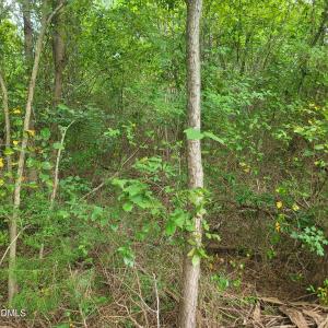 Photo #18 of Highway 49, Mebane, NC 8.2 acres