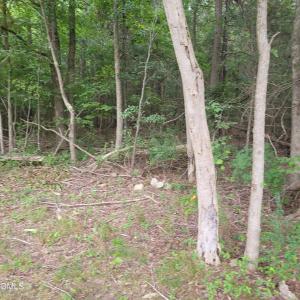 Photo #9 of Highway 49, Mebane, NC 8.2 acres