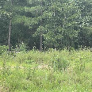 Photo #8 of Highway 49, Mebane, NC 8.2 acres