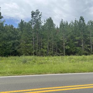 Photo #14 of Highway 49, Mebane, NC 8.2 acres