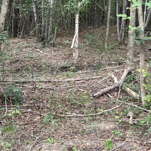 Photo #13 of Highway 49, Mebane, NC 8.2 acres