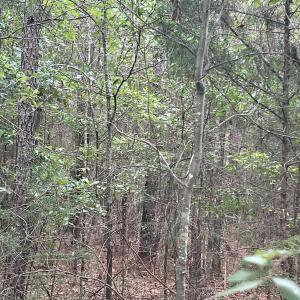Photo #11 of Highway 49, Mebane, NC 8.2 acres