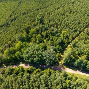 Photo #3 of 7113 Shep Royster, Oxford, NC 1.1 acres