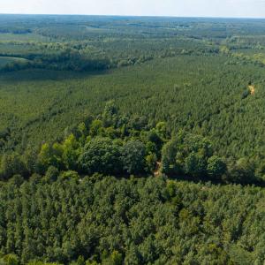 Photo #4 of 7113 Shep Royster, Oxford, NC 1.1 acres