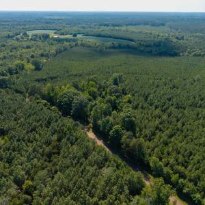 Photo #5 of 7113 Shep Royster, Oxford, NC 1.1 acres