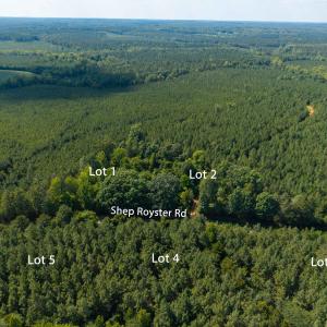 Photo #4 of 7116 Shep Royster, Oxford, NC 5.6 acres