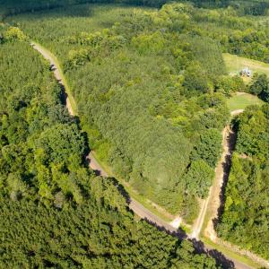 Photo #7 of 7116 Shep Royster, Oxford, NC 5.6 acres